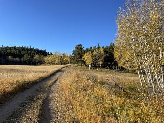 Beautiful trails!