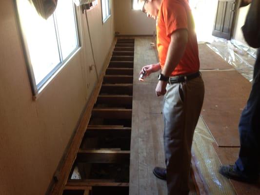 Humboldt County Termite Inspector  Inspecting Massive Termite Damage in the Subfloor of this home.