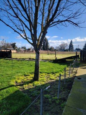 Park across the street showing pickets that are chewed off by his horse