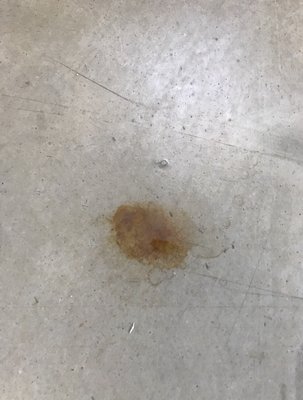 Permanent stain on floor from pipe leak left not fixed.