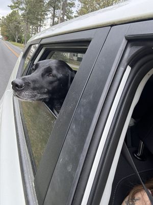 Waccamaw Regional Veterinary Center