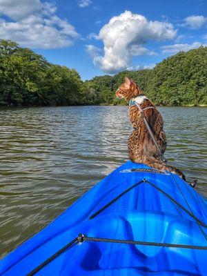 Adventure Cat Kayaking