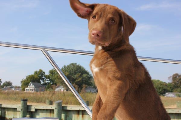 My mommy, Amy is an excellent realtor and a great listener and will understand what you want and hunt it down for you.