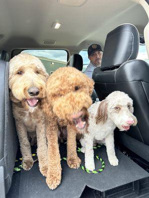 Three haircuts!