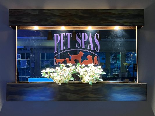 Welcome to Pet Spas, where your furry friend can be pampered and play the day away!