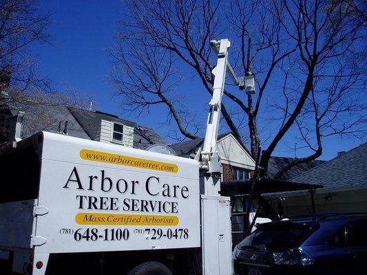 Expert Tree Pruning