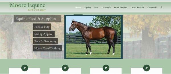 Website Design/Hosting/Management for Moore Equine - MooreEquine.com