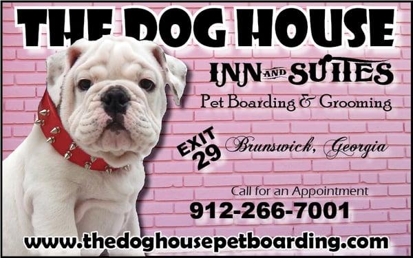 Pet Boarding Brunswick Georgia