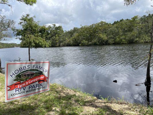 Waccamaw river