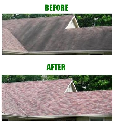 Roof cleaning before and after of our same day results.