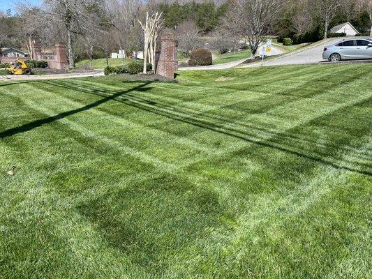 Commercial mowing service