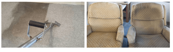 A Perfect Choice Carpet & Furniture Care