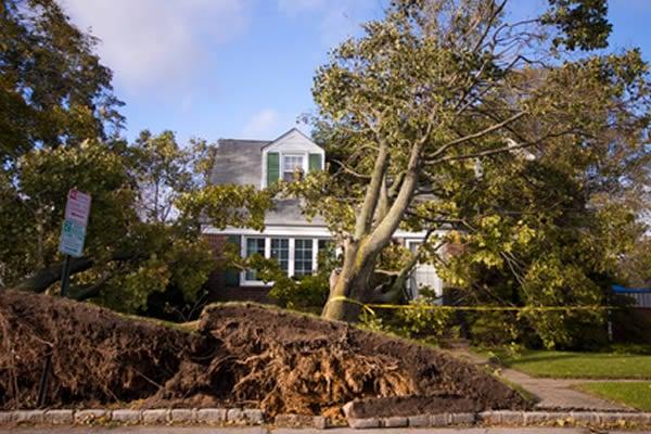 Wind Damage Restoration