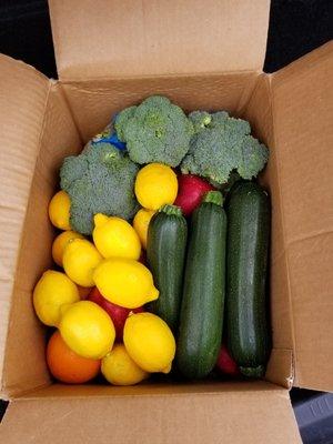 $20 produce box on pop up day.