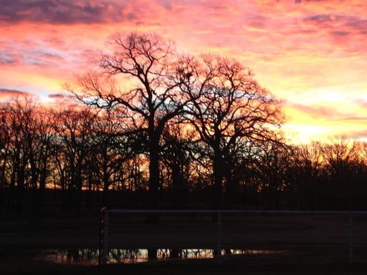 Country Life Montessori School