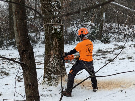 Big Country Tree Services