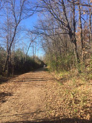 Photo taken in early November at the Lake Independence Regional Trail. Aka Luce Line trsil