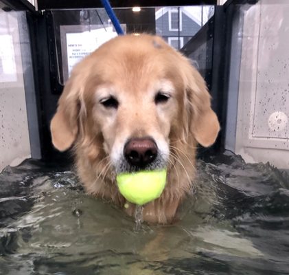 Anything is possible if you have a tennis ball.