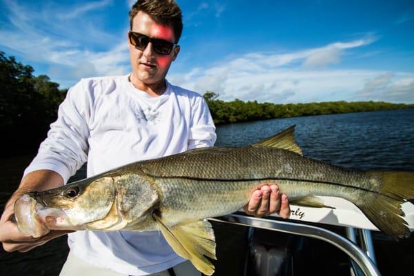 Florida Common Snook