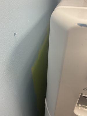 They painted around the washing machines and got paint on them