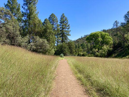 Highlands trail, beautiful meadow in September