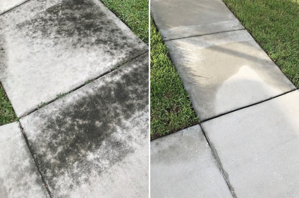 Before and after of a sidewalk we did in Starling, FishHawk Ranch in Lithia.