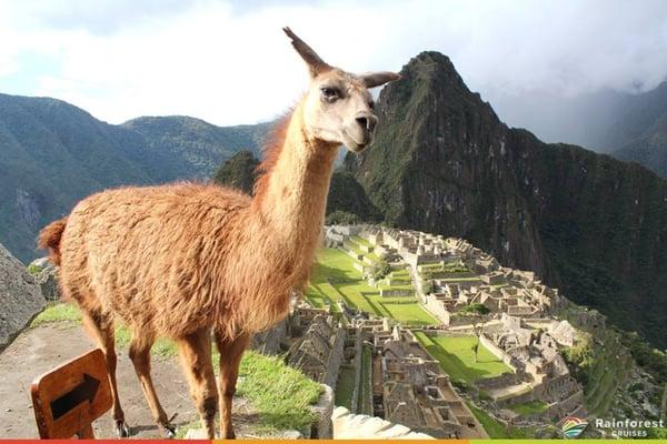 Add on a land tour to your cruise- Machu Picchu Peru