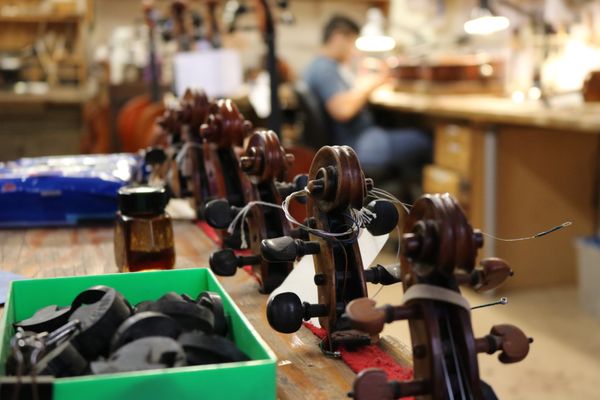 Attend String Academy field trips to learn how instruments are made.