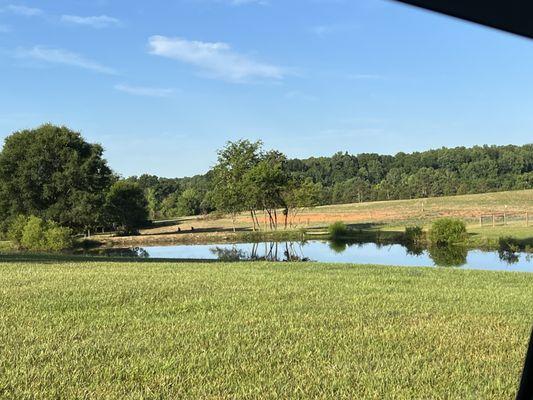 This client wanted to add visual appeal and usability to their property, so we did just that by mulching down around this pond