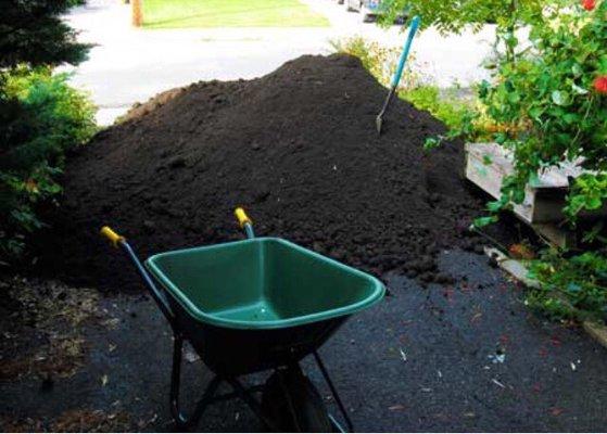 Topsoil being moved with wheelbarrow