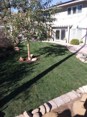 Landscape and Tree Service in Ventura