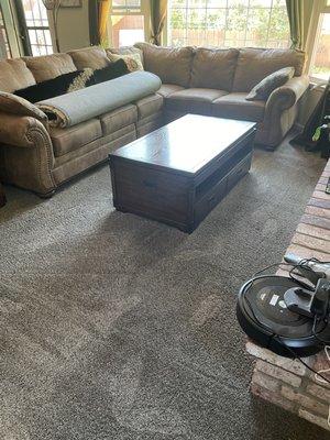 Living room carpet cleaning