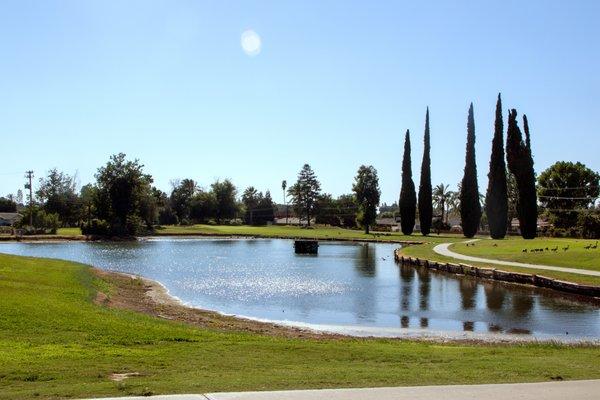 The lake on the 8th hole.  212 yards, part three, from championship tee. 189 yards from white tees.