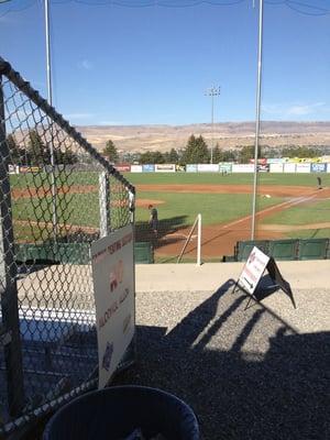 Wenatchee Applesox Baseball Club