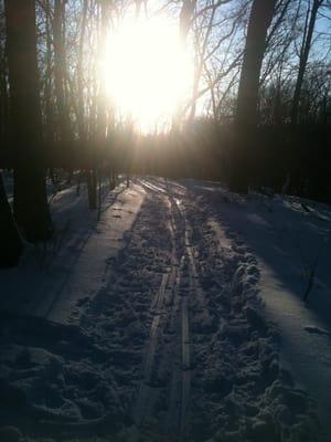 Xc trail at mad Bertrand park. Near crick