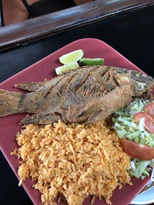 Fried Tilapia