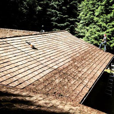 Roofing and maintenance