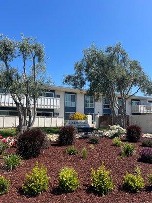 Front of Linden with beautiful landscaping