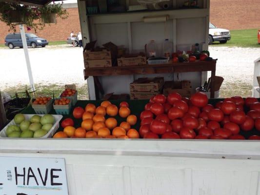 Yummy tomatoes!