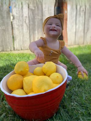 Laura's Barn Preschool and Child Care Center