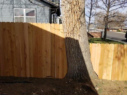 4' cedar fence 6' cedar fence