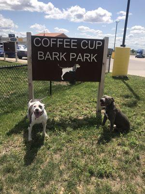 Doggos by the sign!