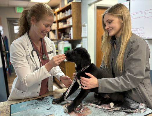 Dr. Parker and veterinary assistant examine a puppy during a vaccination visit.