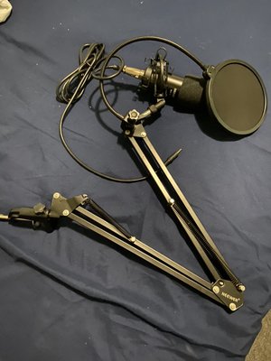 Microphone