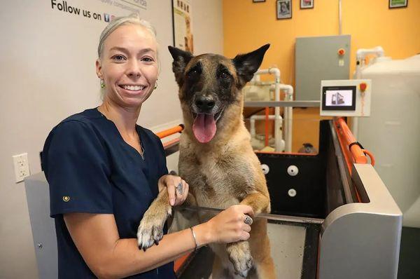 Rehabilitation patient Zeke with vet tech Katie after work on the underwater treadmill.