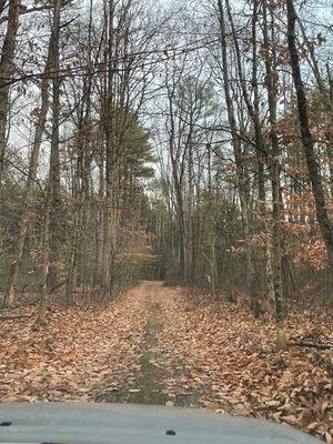 Wide open spaces and friendly neighbors here in Stratham