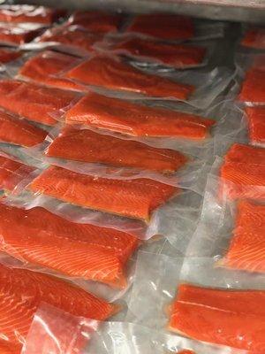 Fresh Salmon