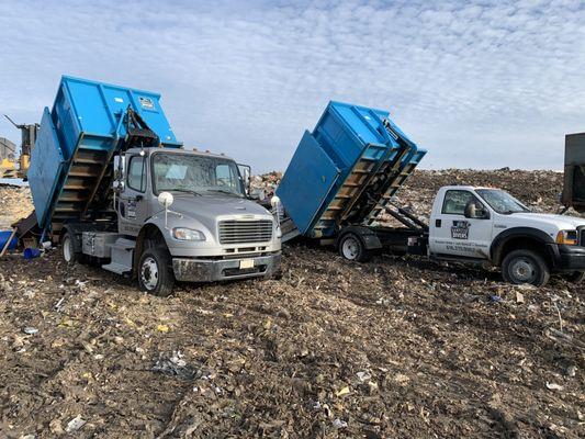 Just another day at the landfill!