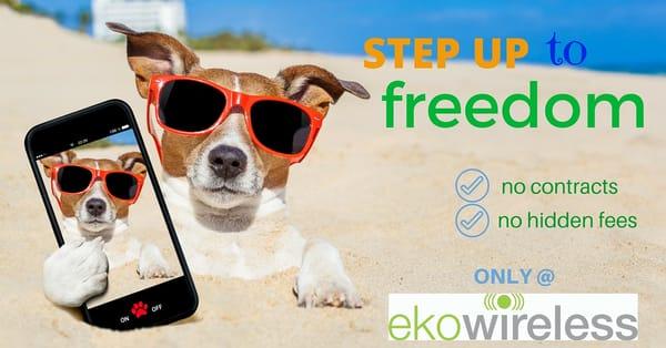 ekowireless