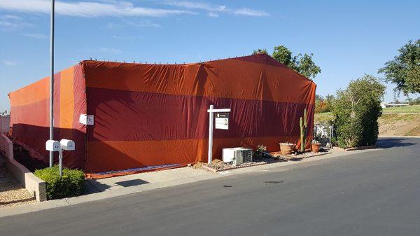 Termite inspection and treatment. This home needed fumigation.